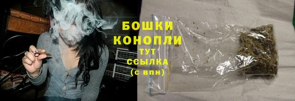 сатива Бугульма