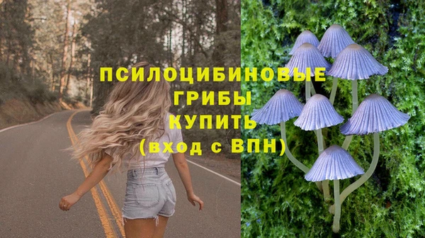 дмт Бронницы