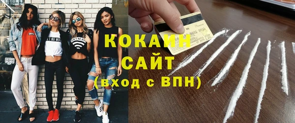 прущие крисы Бородино