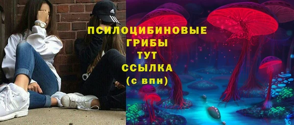 сатива Бугульма