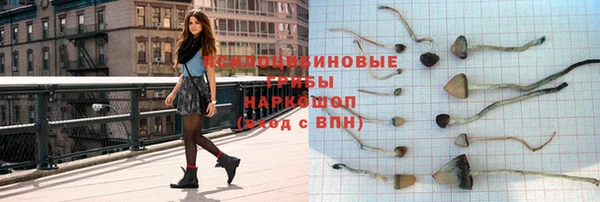 прущий лед Верея