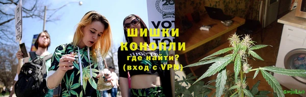 прущие крисы Бородино
