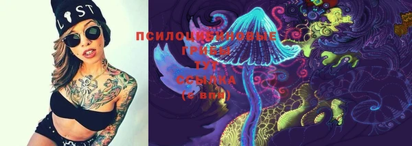 прущие крисы Бородино