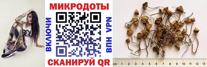 kraken ссылки  Электросталь  Галлюциногенные грибы мухоморы 